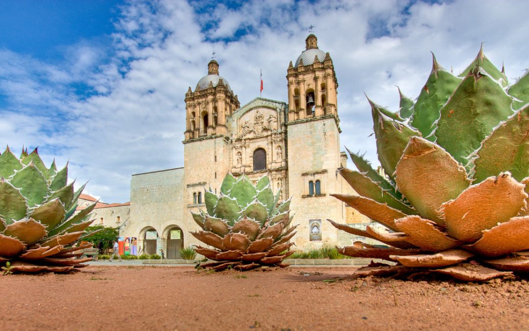 Spanish Phrases for Travel: Simple Words That Go a Long Way!